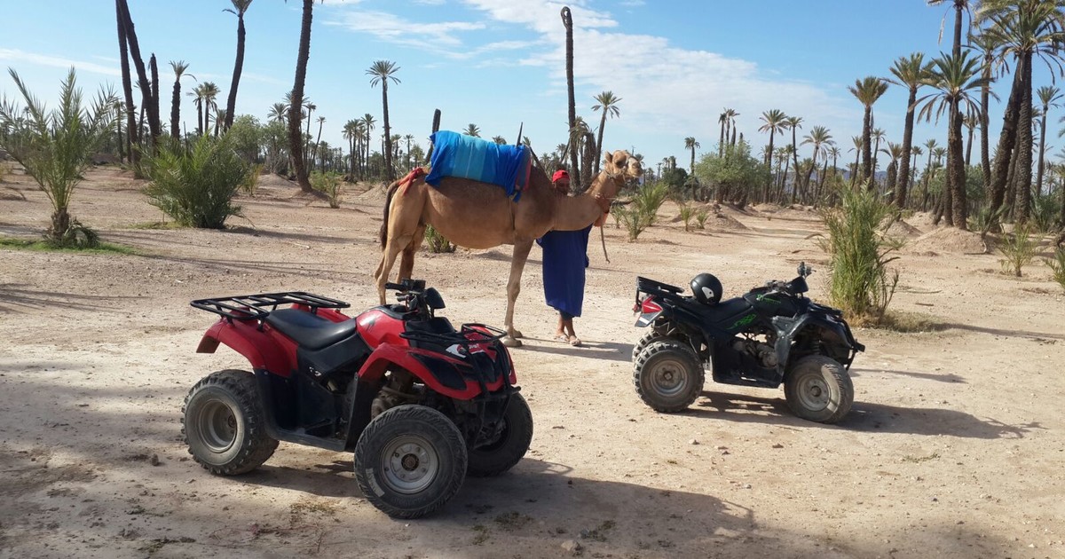 Camel and Quad Biking Tour From Marrakech